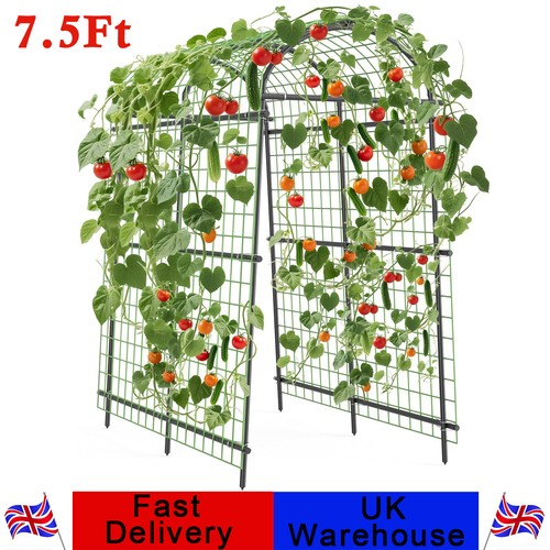 Tall metal garden arch - ft,