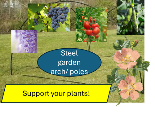 Metal garden arch - metal,