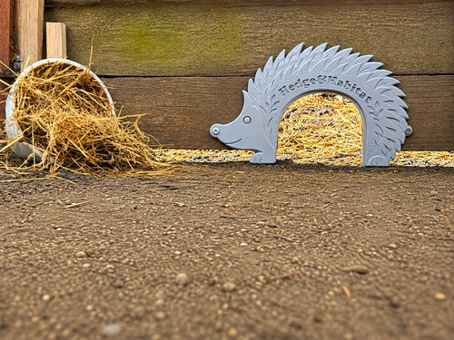 Grey hedgehog highway - hedgehog,