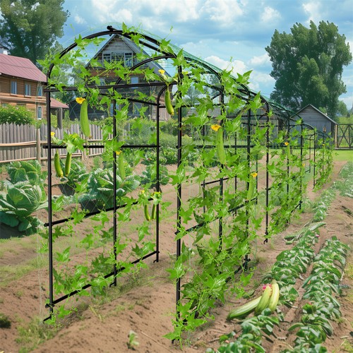 220cm garden arch - 220cm,