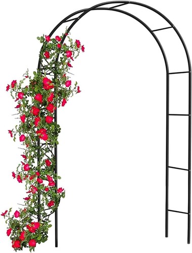 Garden arch trellis arched - 2m,