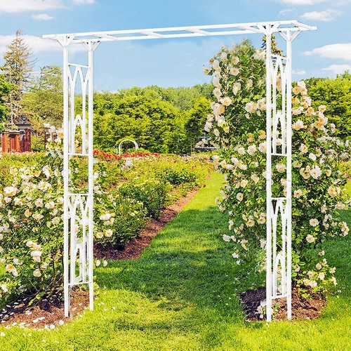 Large tall garden - &,