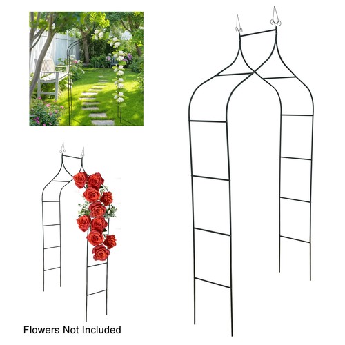 Metal garden arch rose plant - garden,