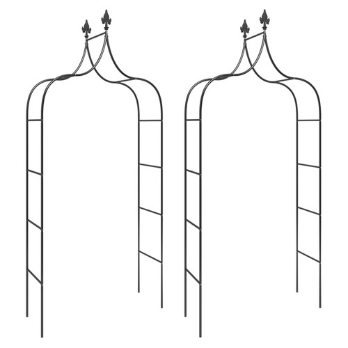 Garden arches black - 2x,